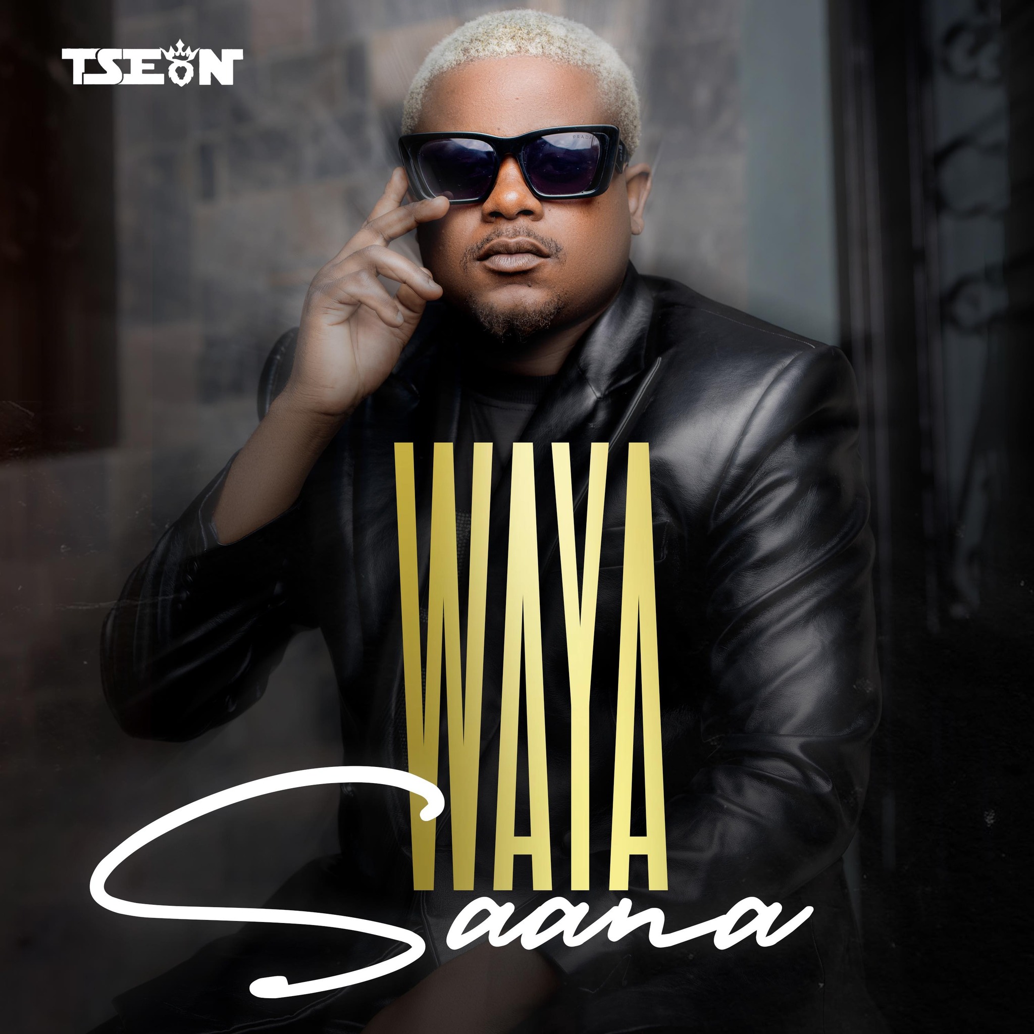 T Sean Waya Saana Mp3 Download