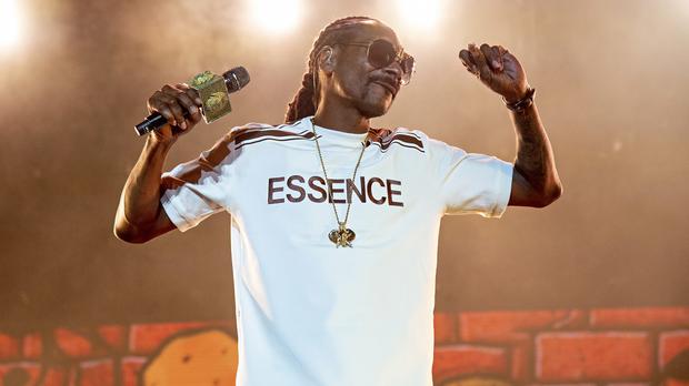 Snoop Dogg Offers To Adopt Abandoned Dog