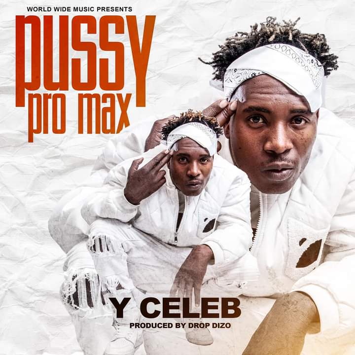 Y Celeb Pussy Pro Max Mp3 Download